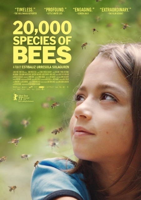 20,000 Species of Bees